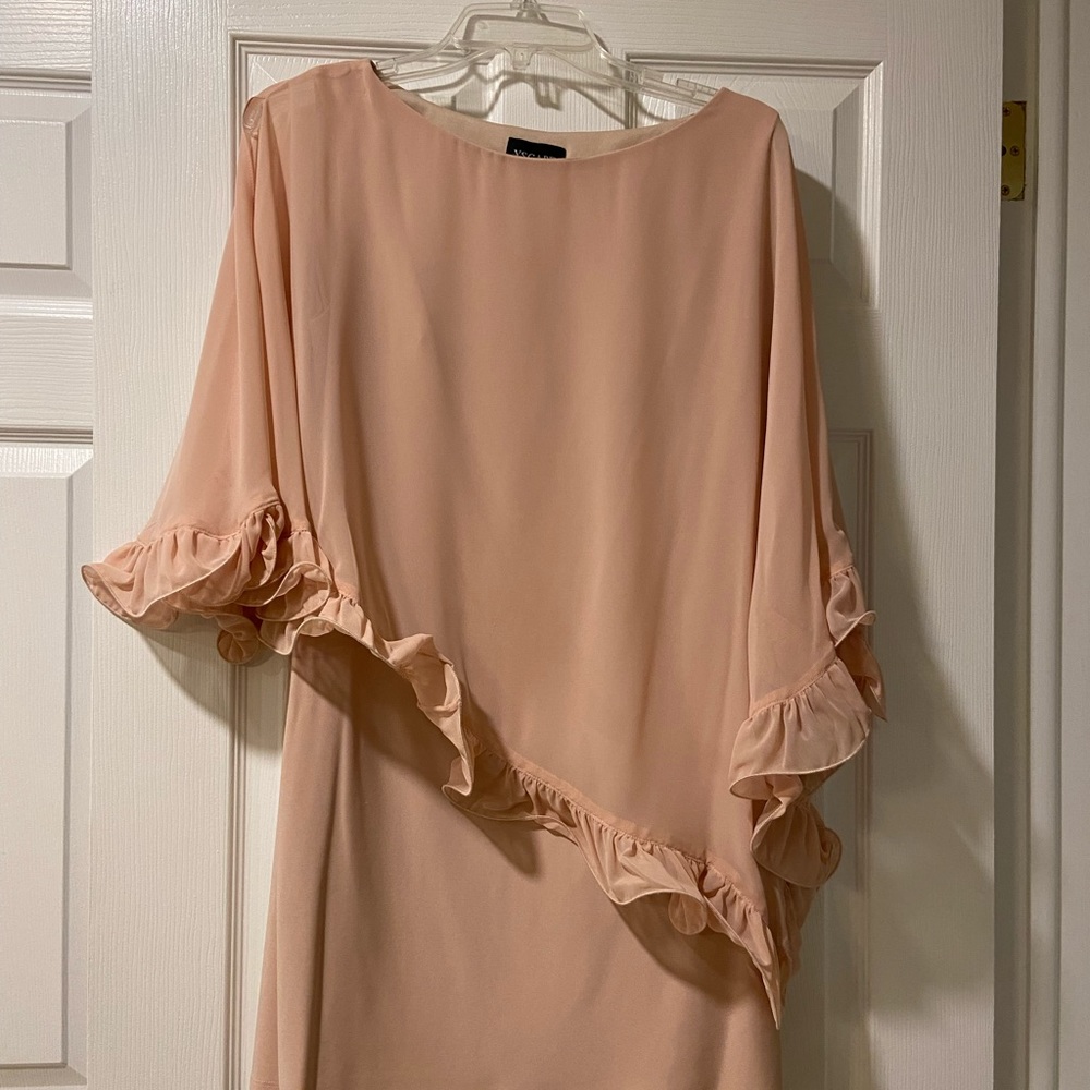 Beautiful blush colored dress with ruffled overlay